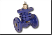 H664S Belimo 2-Weg Hubventil Flansch PN16