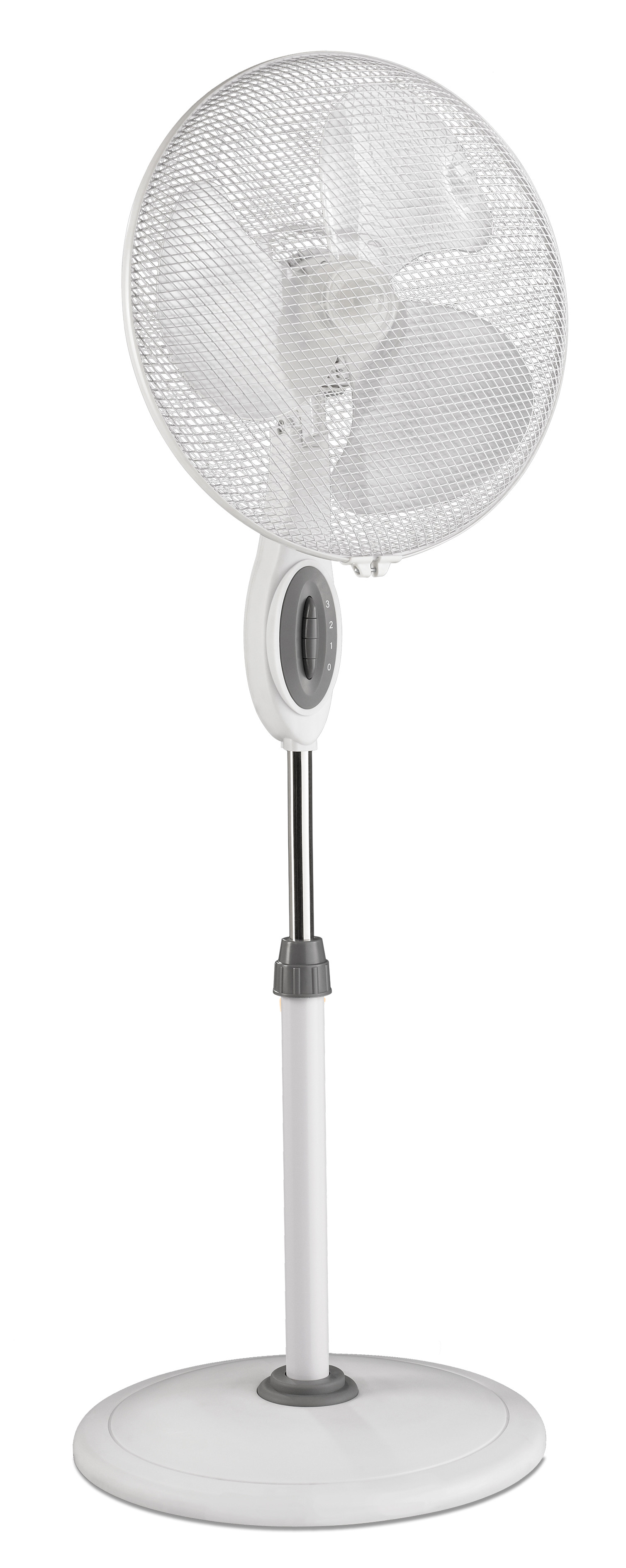 Greyhound SV 45-10-SL WE