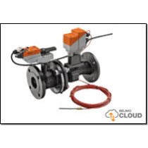 EV100F+BAC Belimo EV, 2-Weg m. Monitoring, Glykol