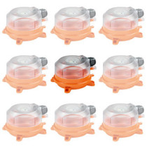 01APS-10R.1 Belimo Diff.druckschalter 20...300 Pa